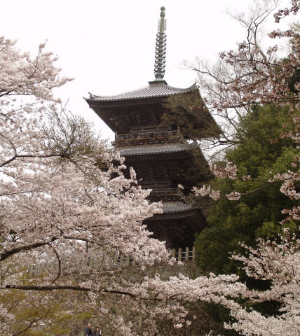 Temple Yasugi Kiyomizu-dera